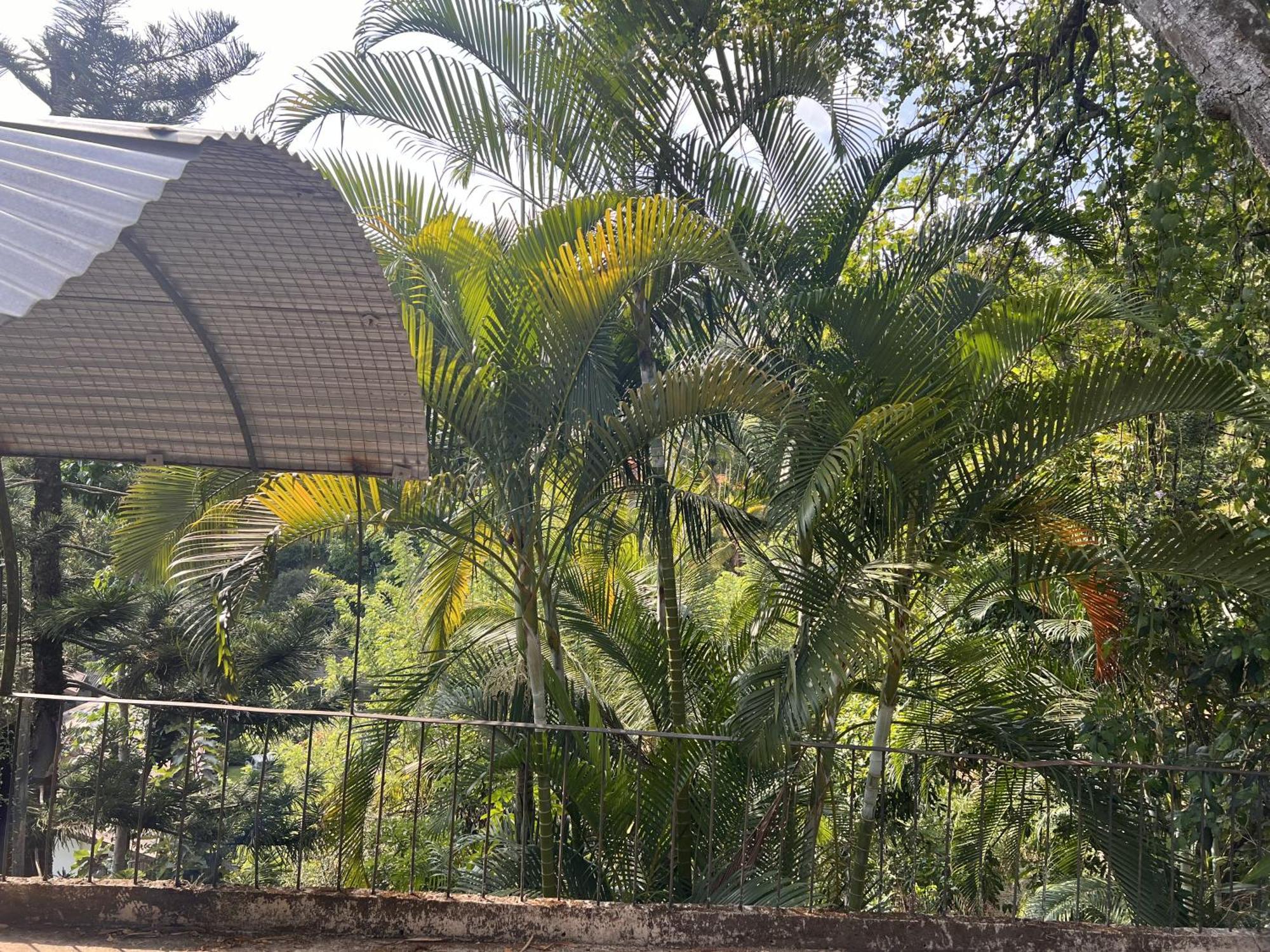 Canopy Villa Канди Екстериор снимка